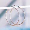 Creool 50 mm basic – zilver – foto 2