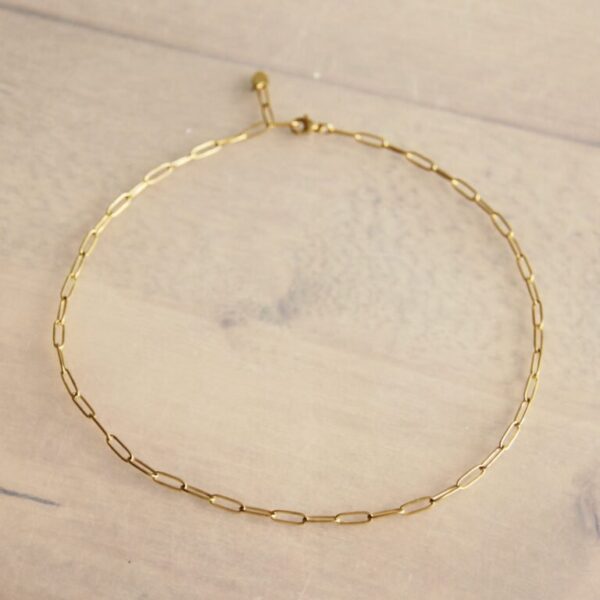 D-ketting – goud, foto 2