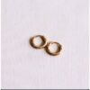 Oorringen 10 mm turned – goud – foto 2