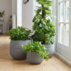 Plantenmand set Jorck Grijs in een sfeervol interieur